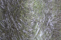 Colney Hatch fibreglass roof work